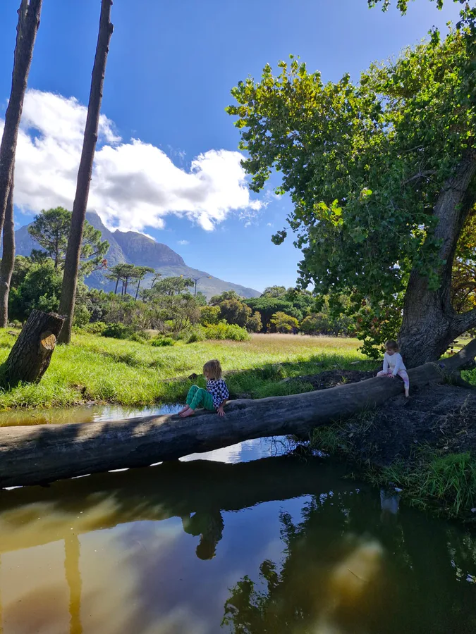 Children playing on a fallen tree beside the stream at Keurboom Park