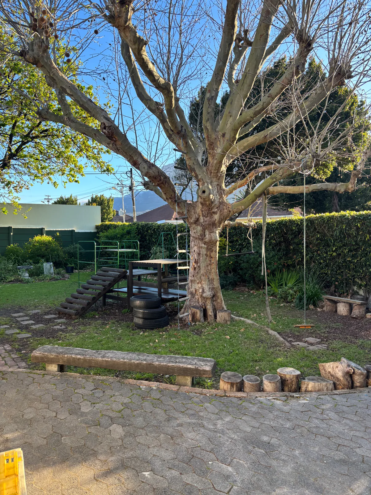 The garden — a rope swing, climbing frame, log steps and a wooden bench under a big plane tree